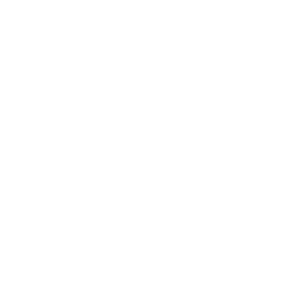 logo_Viola_1-blanco
